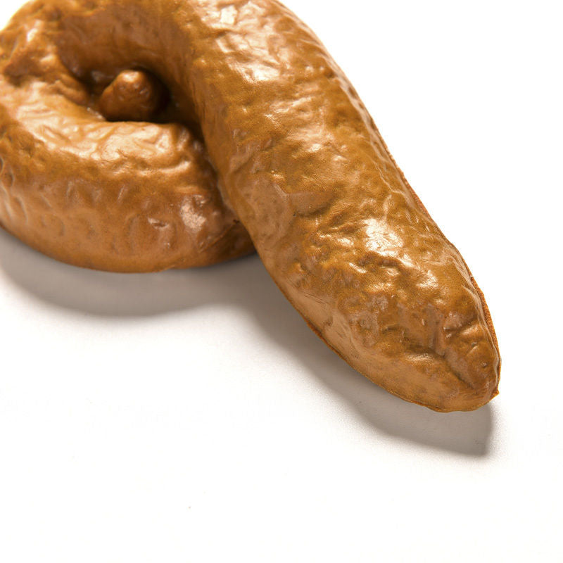 Fake Poop Funny Toys